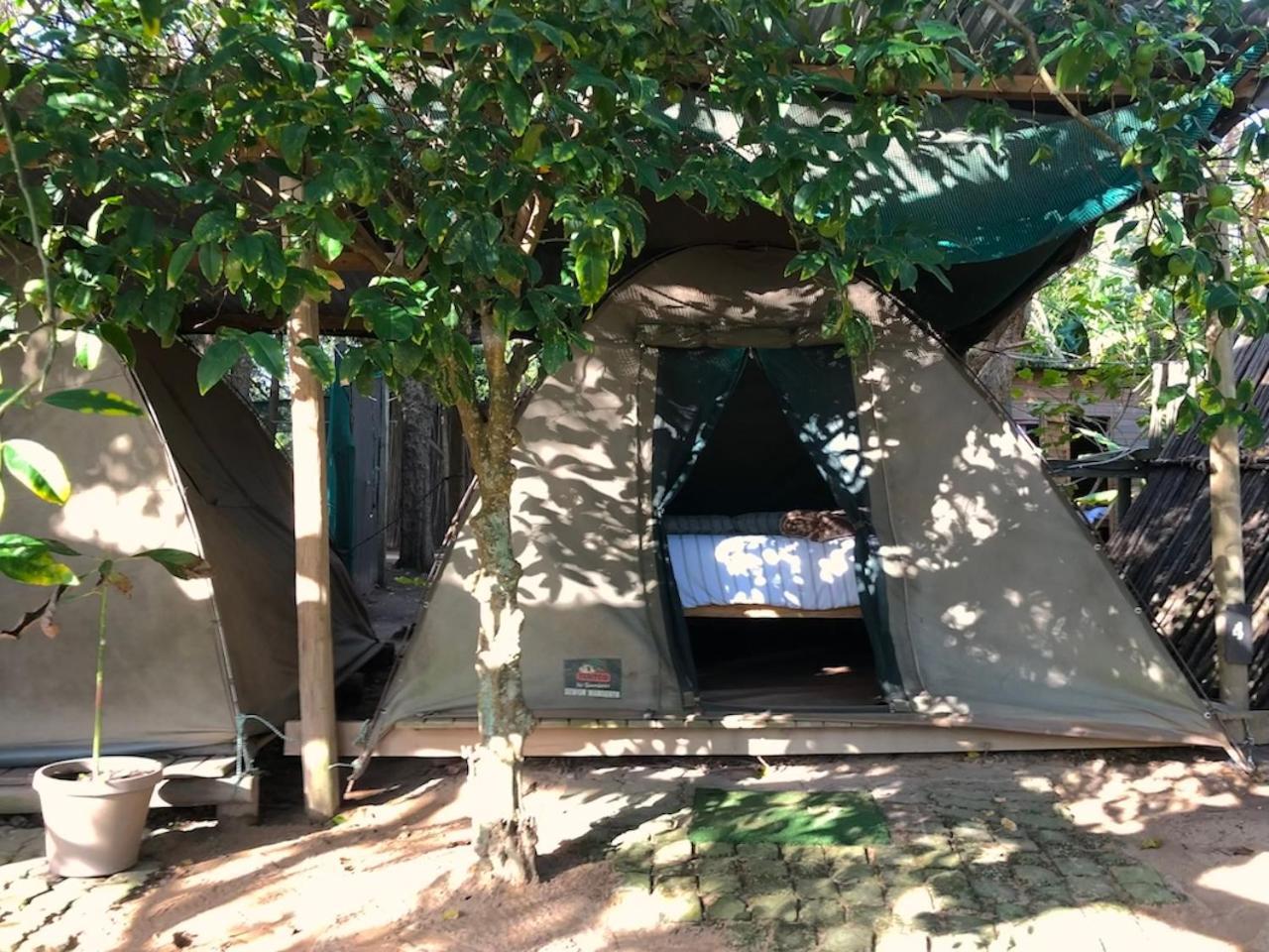 The Riverdeck Accommodation And Backpackers Knysna Kültér fotó