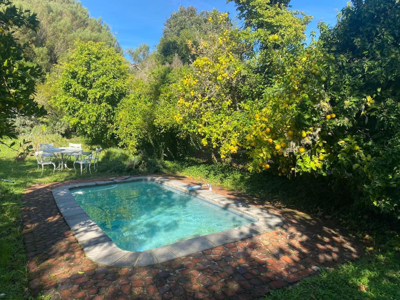 The Riverdeck Accommodation And Backpackers Knysna Kültér fotó