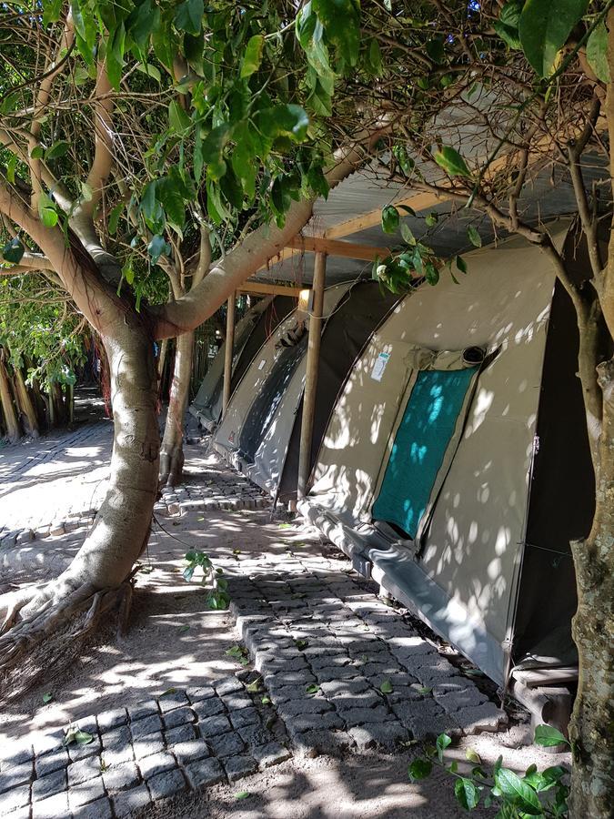 The Riverdeck Accommodation And Backpackers Knysna Kültér fotó