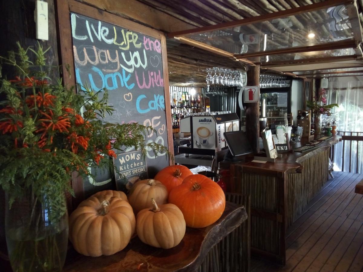 The Riverdeck Accommodation And Backpackers Knysna Kültér fotó